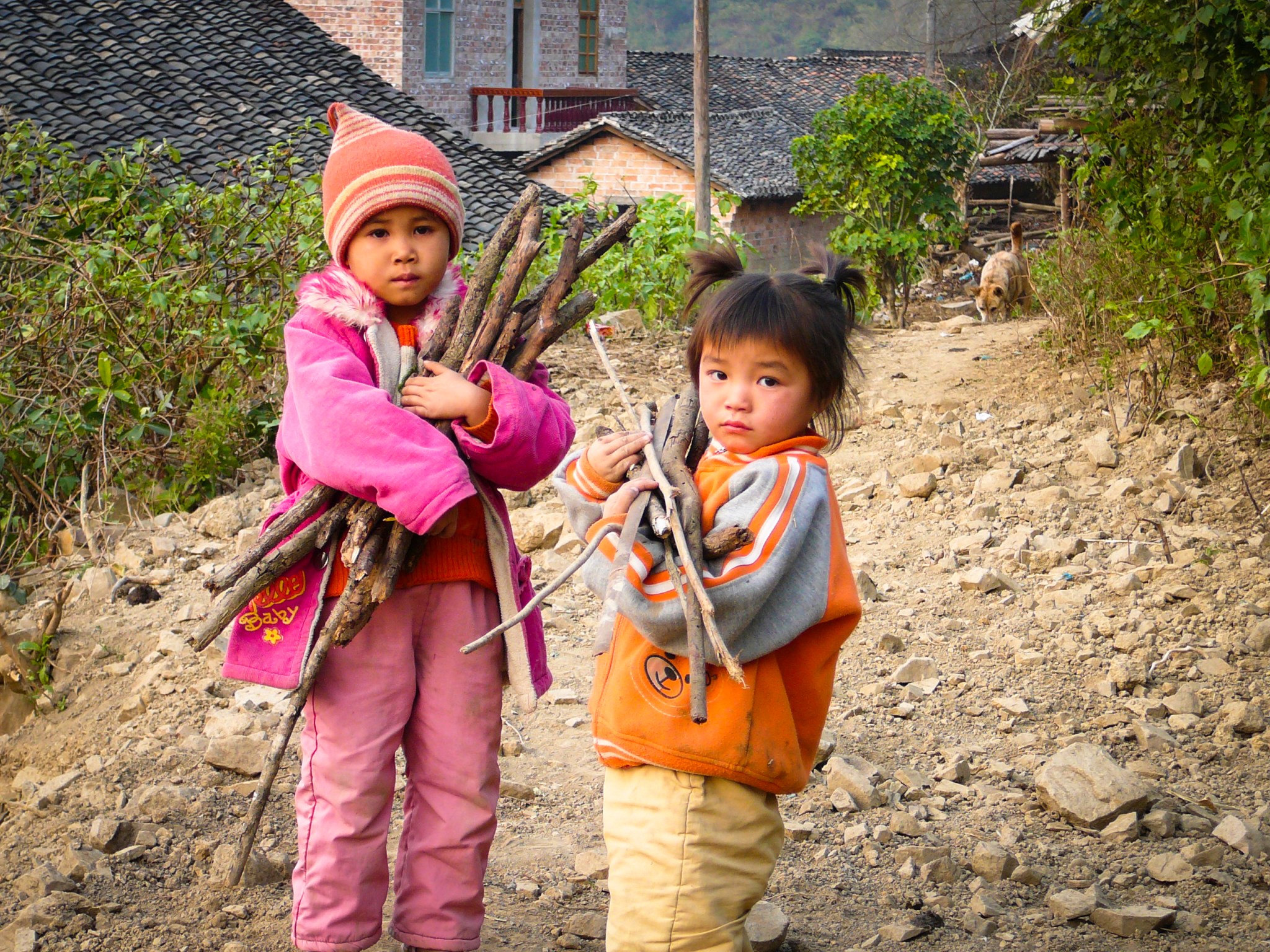 Village children collect firewood for cooking fuel, Tianlin County, Guangxi Zhuang Autonomous Region, China.