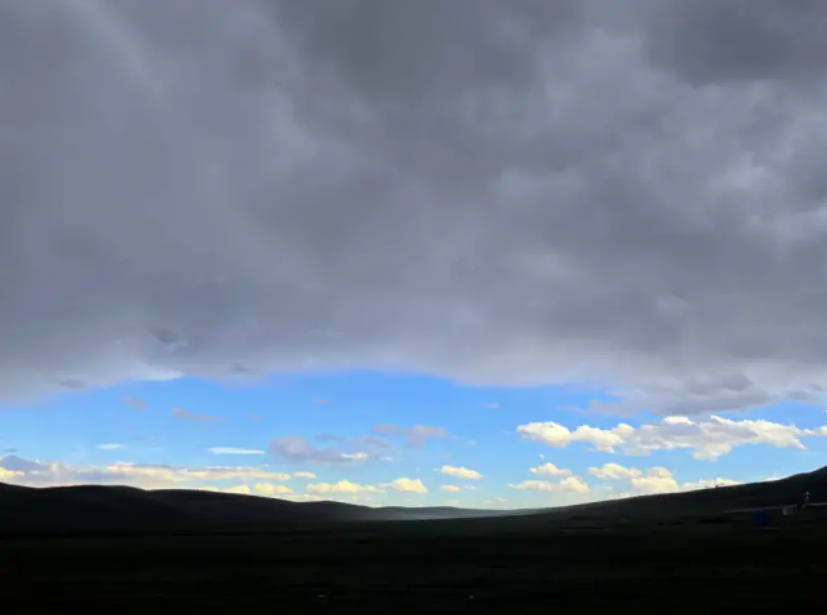 Grassland life and death